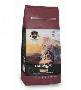 bag_cat_Indoor-570x633